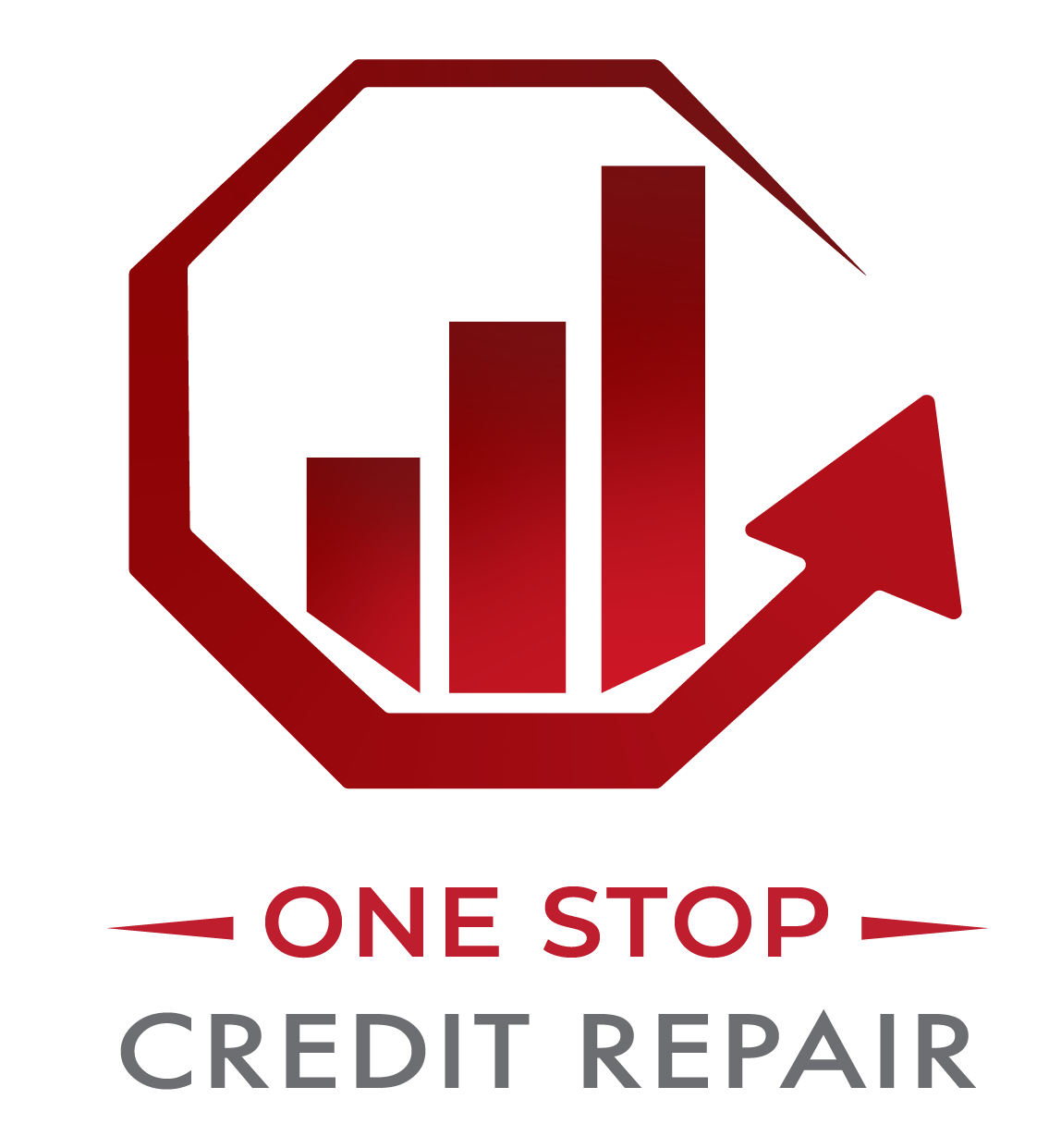 DIY Credit Repair Packet